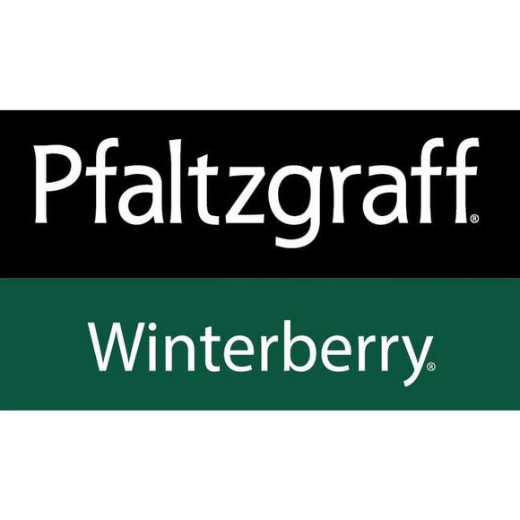 Pfaltzgraff Winterberry 16-Piece Dinnerware Set Service for 4 Christmas Holiday - Picture 8 of 8